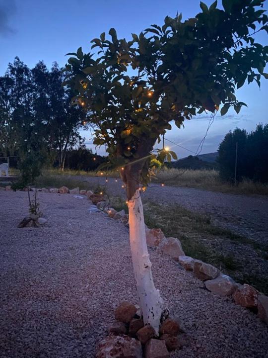 فيلا Thalia'S House Pastida المظهر الخارجي الصورة